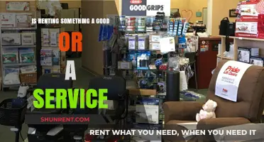 Renting Dilemma: Understanding the Classification of Rentals as Goods or Services