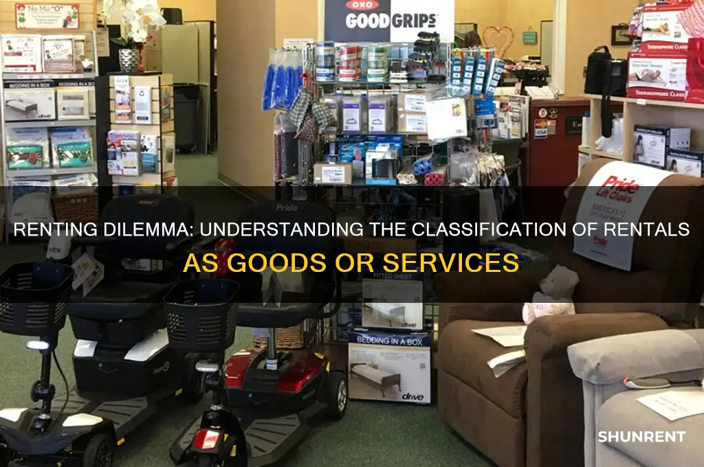 is renting something a good or a service