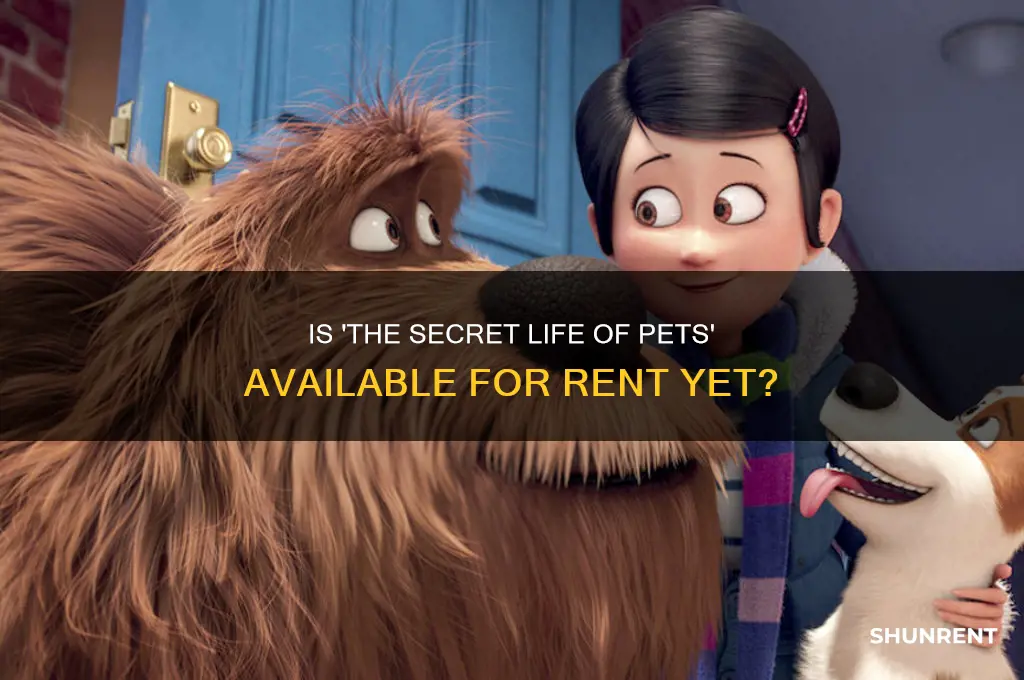 is secret life of pets out to rent yet