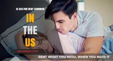 Sex for Rent in the US: Prevalence and Ethical Concerns Explored