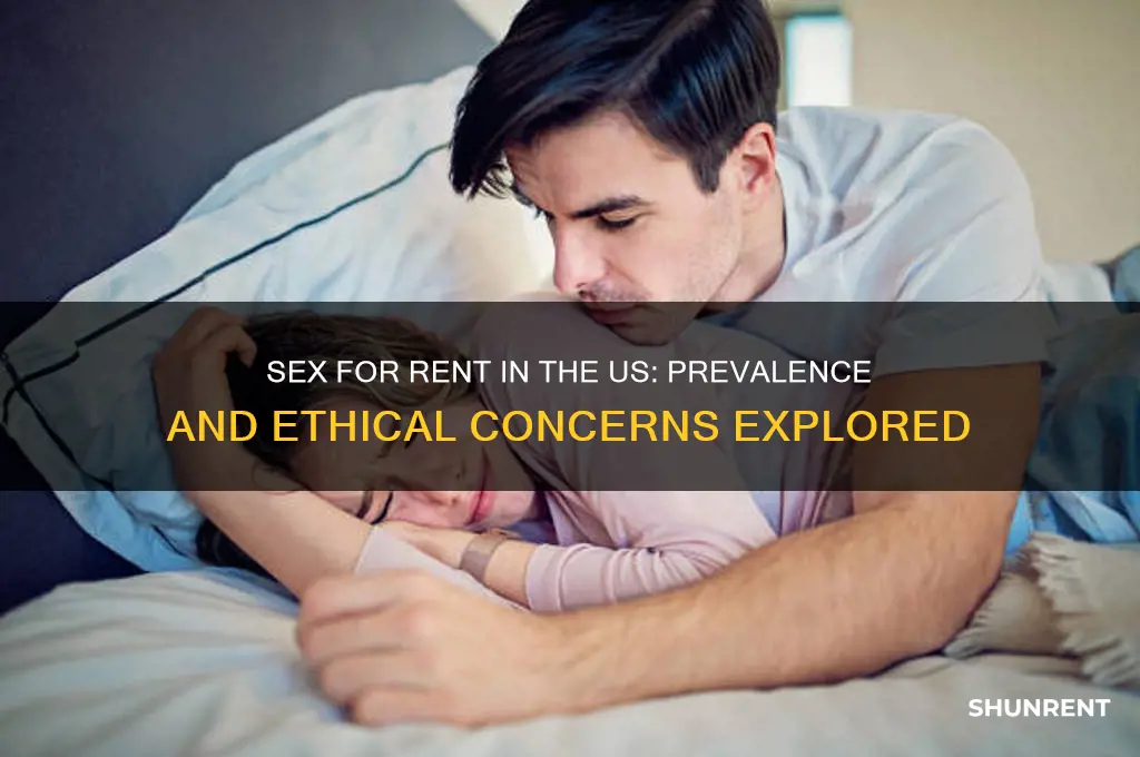is sex for rent common in the us