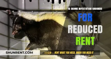 Skunk Infestation: Can Tenants Demand Rent Reduction Legally?