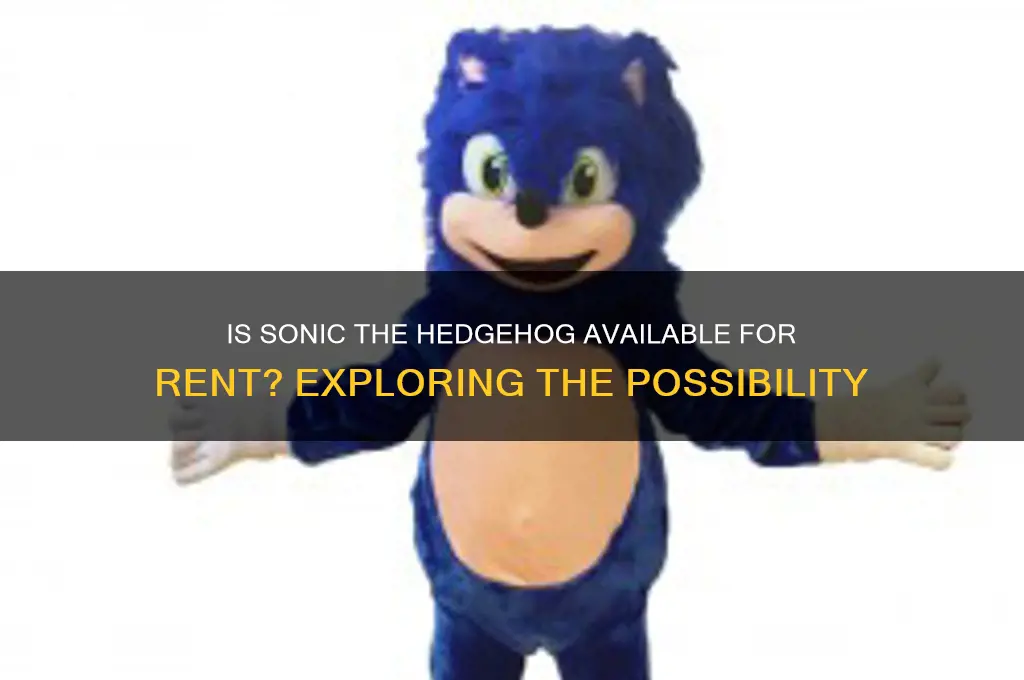 is sonic the hedgehog out for rent