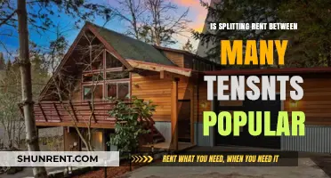 Is Rent Splitting Among Multiple Tenants Gaining Popularity?