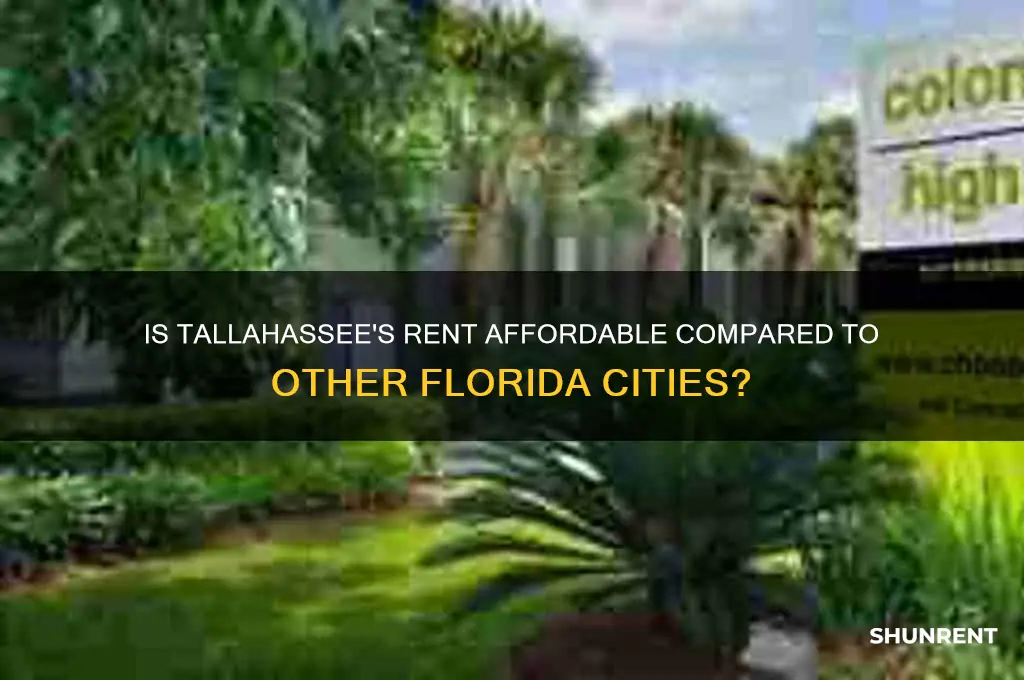 is tallahassee cheap in rent in florida