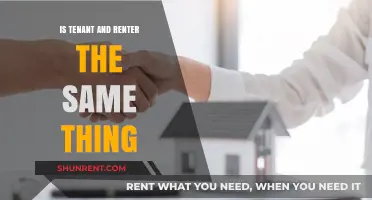 Tenant vs. Renter: Understanding the Legal and Practical Differences