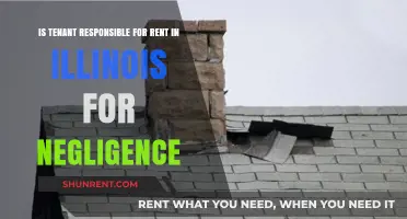 Illinois Tenant Liability: Rent Responsibility for Negligence Explained