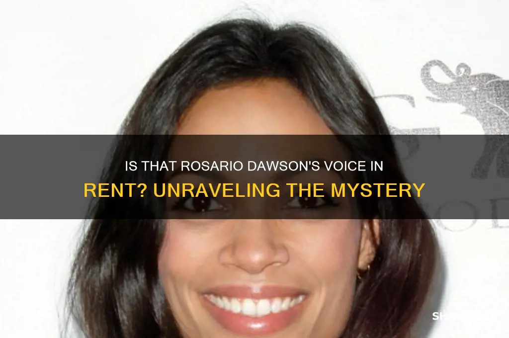 is that rosario dawson voice im rent