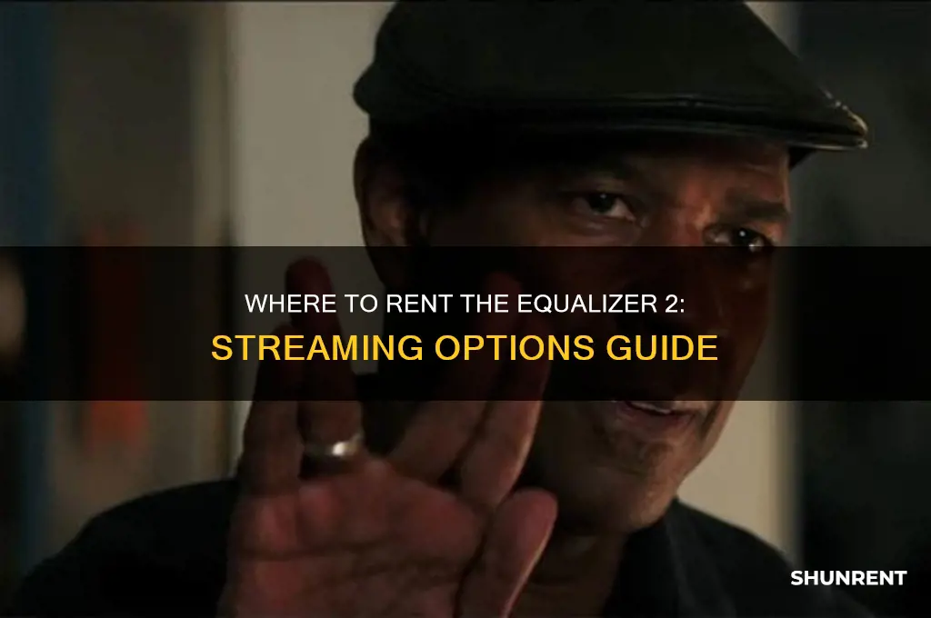 is the equalizer 2 available to rent