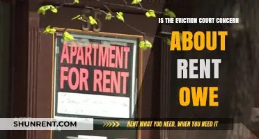 Eviction Court Focus: Rent Owed Concerns and Tenant Rights Explored