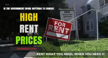 Government Action on High Rent Prices: Solutions or Empty Promises?