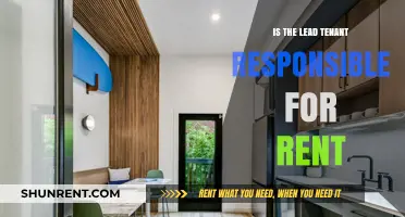 Lead Tenant Responsibilities: Who Pays Rent When Sharing a Lease?