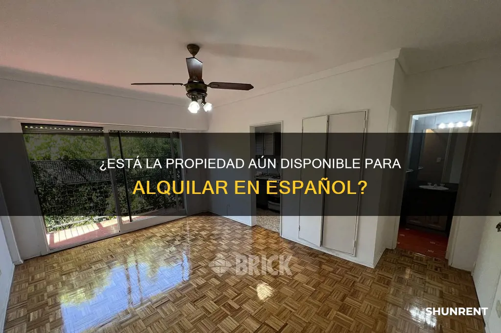 is the lroperty stikl availabke for rent spanish