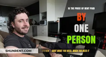 Is Rent Affordable for Solo Tenants? Analyzing Individual Rental Costs