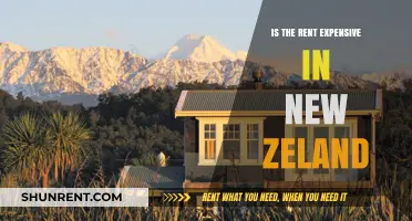 Is Rent in New Zealand Affordable? A Cost Analysis for Expats