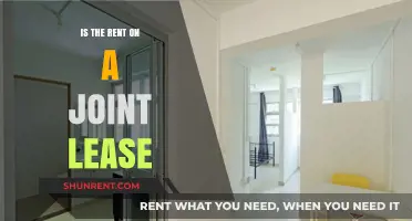 Understanding Joint Lease Rent Responsibilities: What Tenants Need to Know
