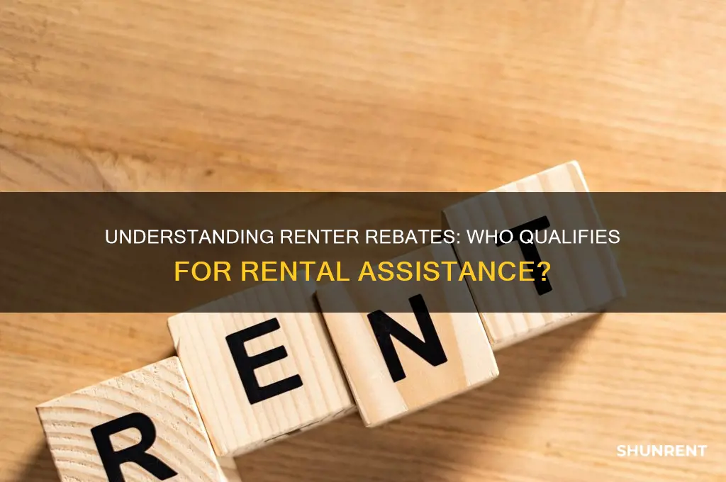is the renter rebate for the person who is renting