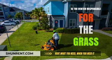 Who's Responsible for Lawn Care: Renter or Landlord?