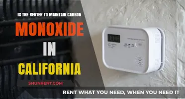 California Renters' Responsibility: Maintaining Carbon Monoxide Detectors in Rentals