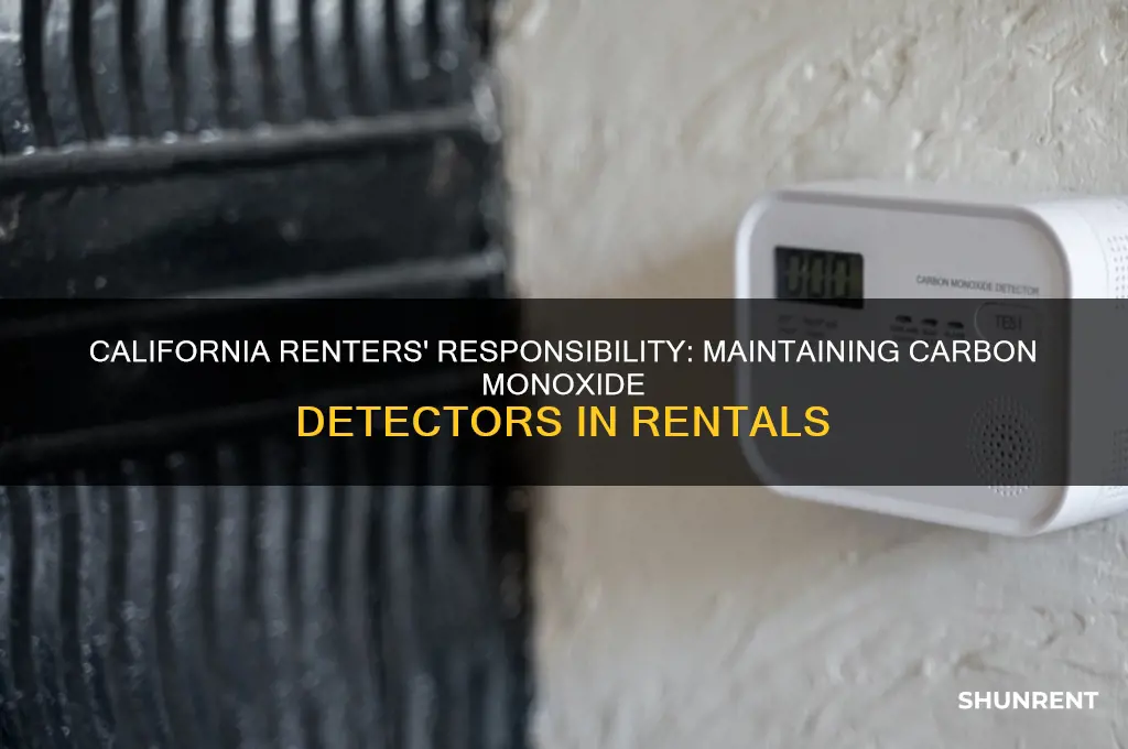 is the renter to maintain carbon monoxide in california