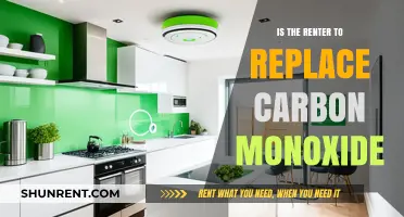 Is the Renter Responsible for Replacing Carbon Monoxide Detectors?