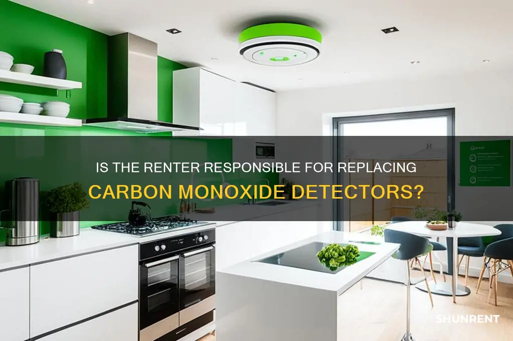is the renter to replace carbon monoxide