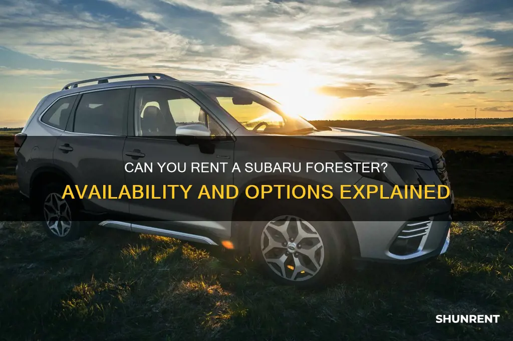 is the subaru forrester available to be rented