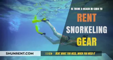 Cabo Snorkeling Guide: Where to Rent Gear at the Beach