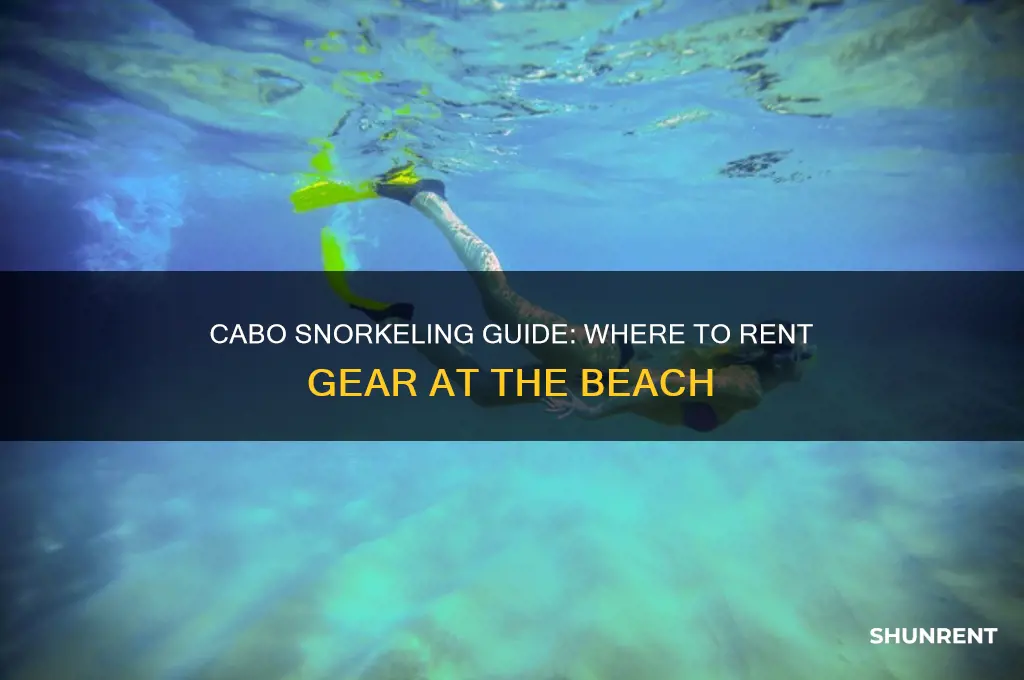 is there a beach in cabo to rent snorkeling gear