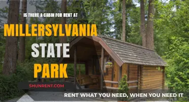 Discover Millersylvania State Park: Cabin Rentals and Outdoor Adventures