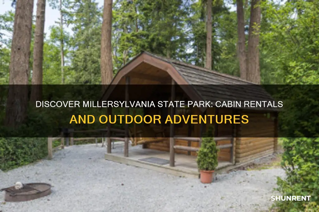 is there a cabin for rent at millersylvania state park