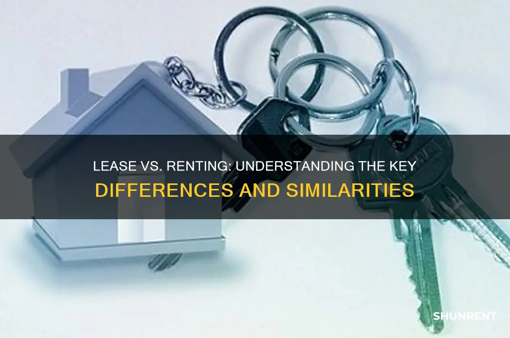 is there a difference between a lease and renting