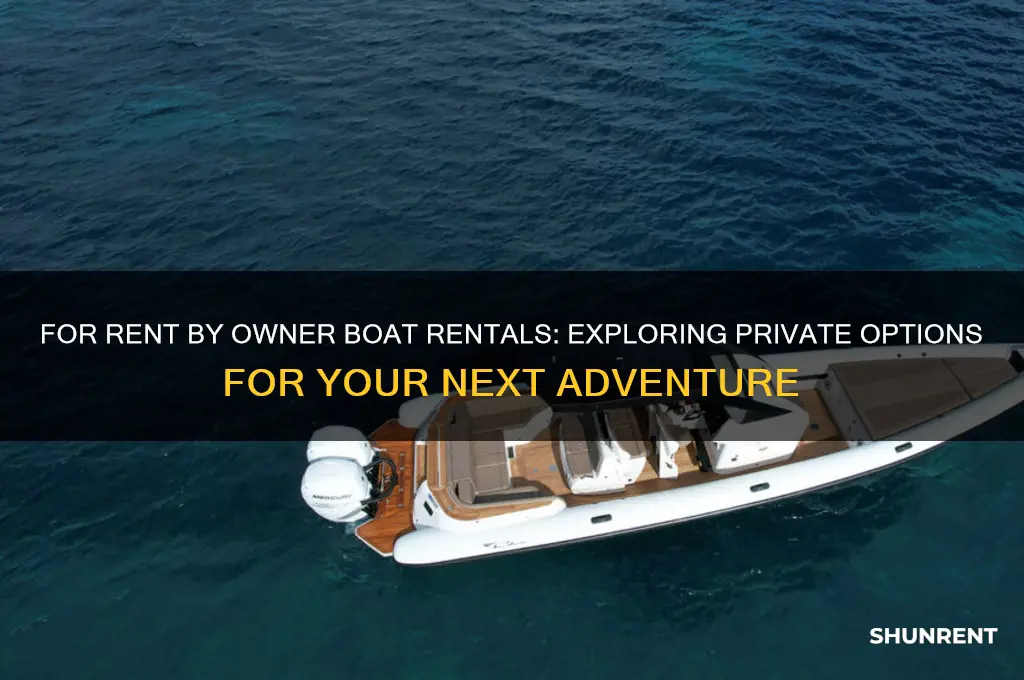 is there a for rent by owner boat rental