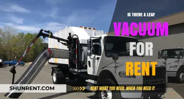 Renting a Leaf Vacuum: Your Ultimate Fall Cleanup Solution