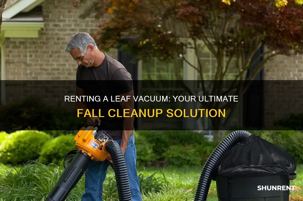 is there a leaf vacuum for rent
