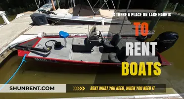 Boat Rentals on Lake Harris: Where to Find Your Perfect Ride