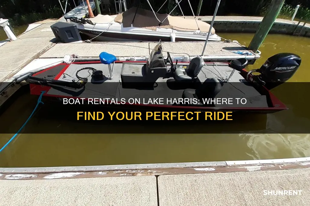 is there a place on lake harris to rent boats