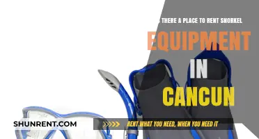 Where to Rent Snorkel Gear in Cancun: A Quick Guide