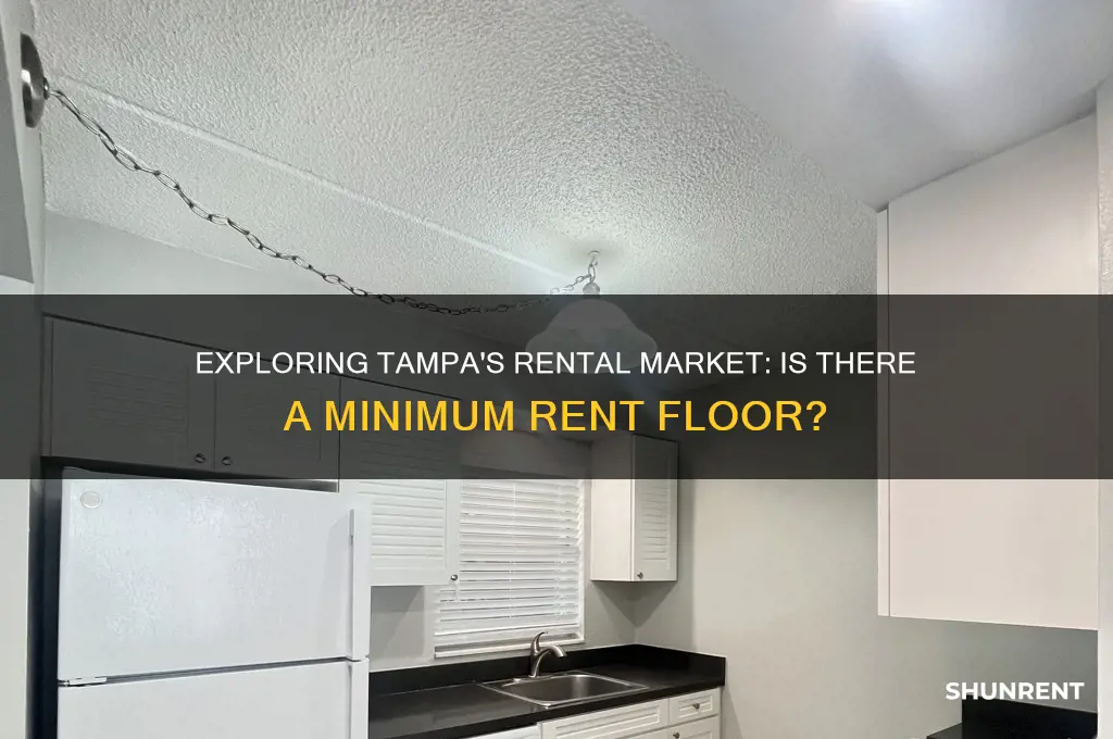 is there a rent floor in tampa