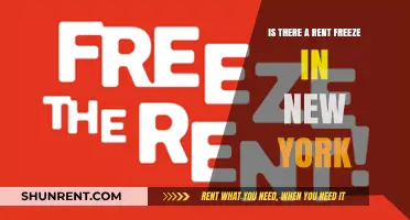 Is There a Rent Freeze in New York? What Tenants Need to Know