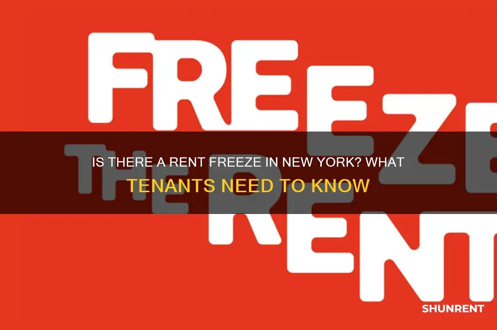 is there a rent freeze in new york