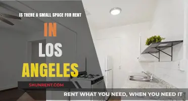 Finding Affordable Small Spaces for Rent in Los Angeles: Tips & Tricks