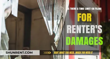 Filing for Renter's Damages: Understanding Time Limits and Legal Deadlines