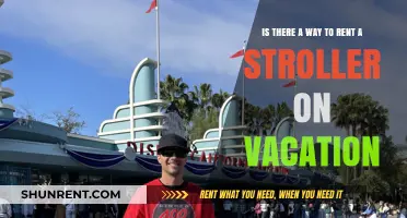 Renting a Stroller on Vacation: Tips for Stress-Free Family Travel