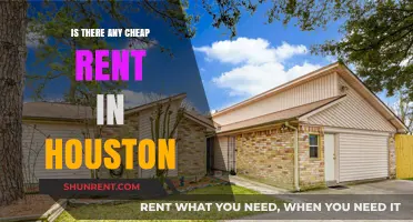 Affordable Houston Rentals: Uncovering Hidden Gems in the City