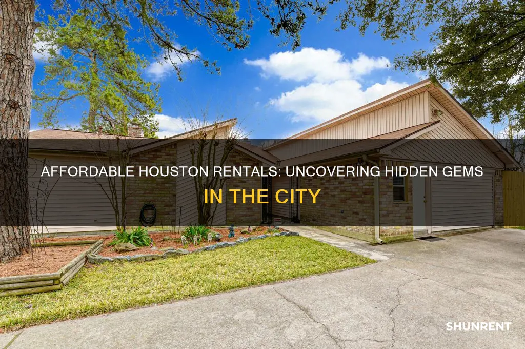 is there any cheap rent in houston