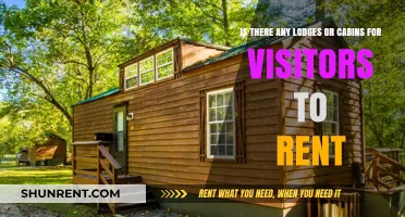 Discover Cozy Lodges and Cabins for Rent on Your Next Getaway