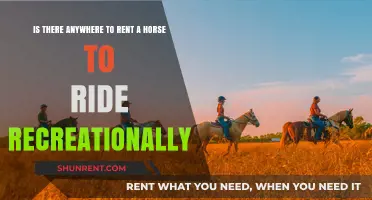 Recreational Horseback Riding: Where to Rent Horses for Fun Adventures