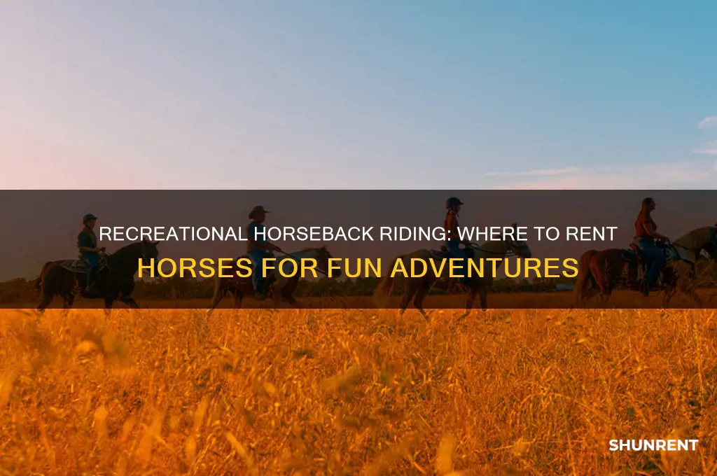 is there anywhere to rent a horse to ride recreationally
