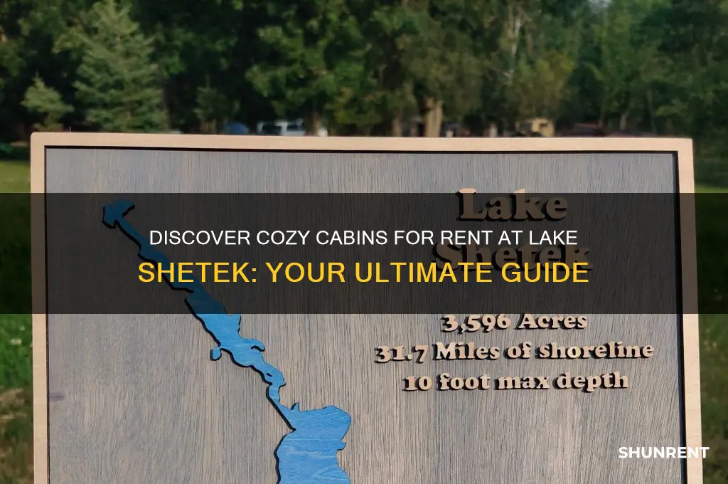 is there cabins to rent at lake shetak
